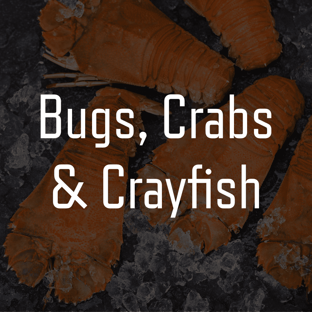 Agnes Water Seafood logo