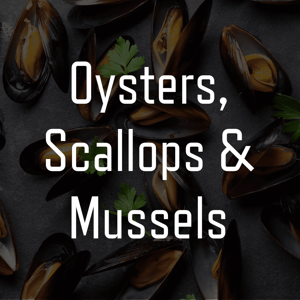 Agnes Water Seafood logo