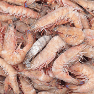 Soft & Broken Prawns (green)