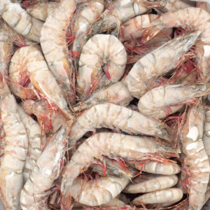 Tiger Prawns (green)