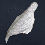 Pearl-Perch-fillet-skin-side