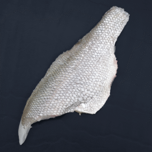 Pearl-Perch-fillet-skin-side