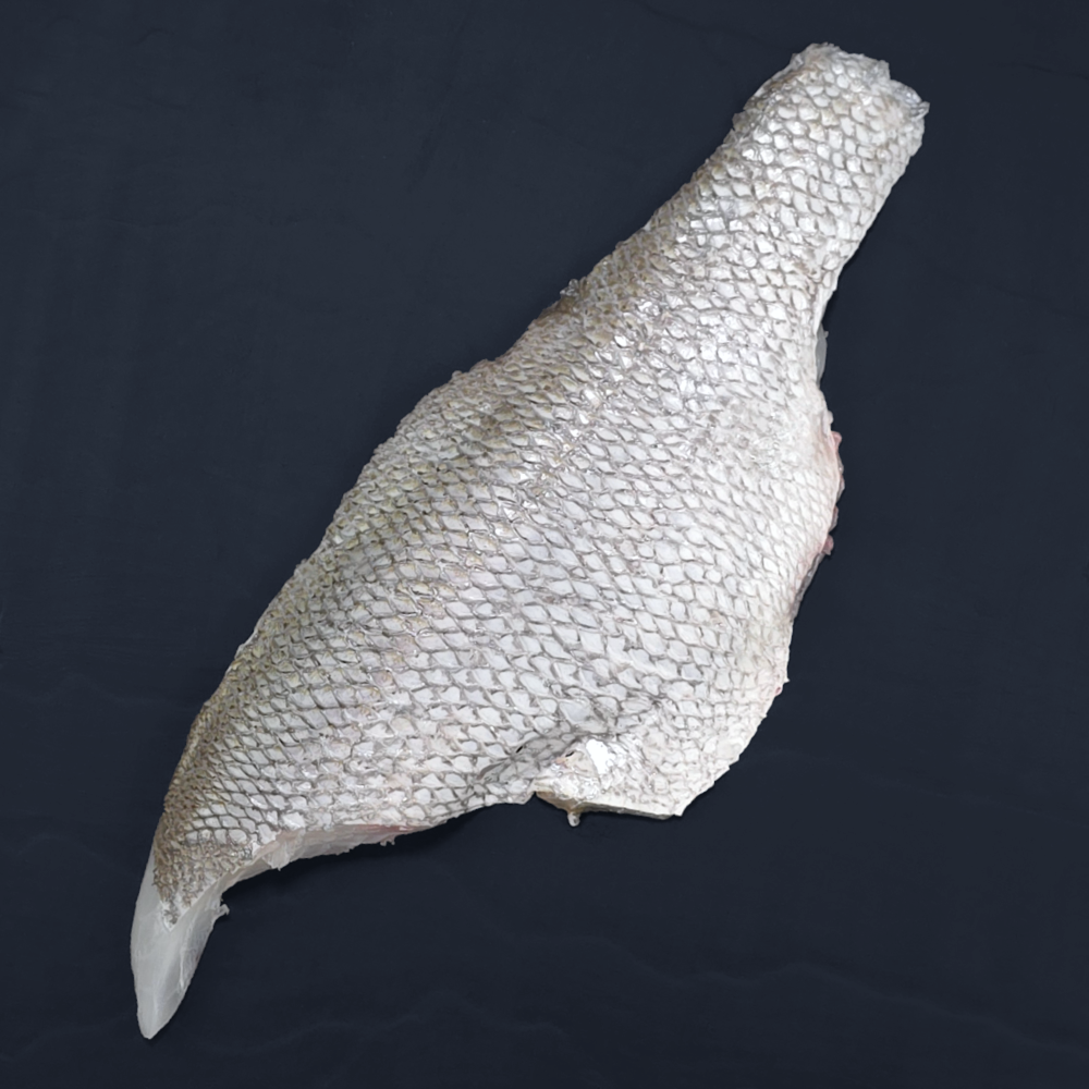 Pearl-Perch-fillet-skin-side